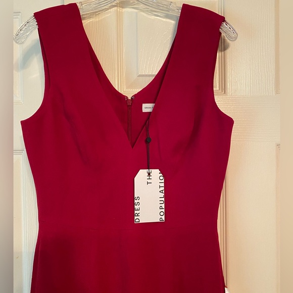 Dress the Population Sandra Plunging V-Neck Sleeveless Crepe Gown - Picture 2 of 6